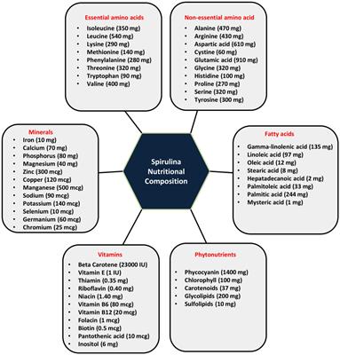 Maternal Protein Malnutrition: Current and Future Perspectives of Spirulina Supplementation in Neuroprotection